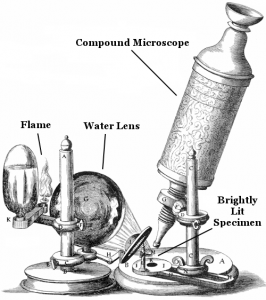 robert-hooke-compound-microscope
